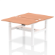 Rayleigh Back-to-Back 2 Person Height Adjustable Bench Desk